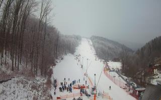 Hotel Stok - 01-02-2026 10:01