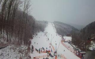 Hotel Stok - 01-02-2026 10:09