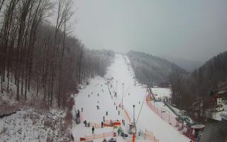 Hotel Stok - 01-02-2026 10:16