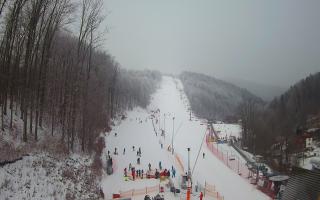 Hotel Stok - 01-02-2026 10:30