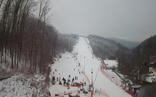 Hotel Stok - 01-02-2026 10:51