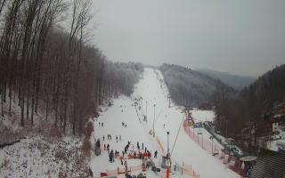 Hotel Stok - 01-02-2026 10:58