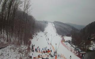 Hotel Stok - 01-02-2026 11:05