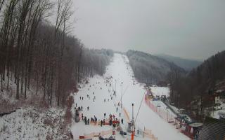 Hotel Stok - 01-02-2026 11:12