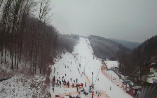 Hotel Stok - 01-02-2026 11:47