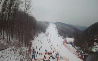 Hotel Stok - 01-02-2026 11:54