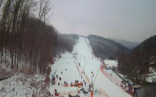 Hotel Stok - 01-02-2026 12:22