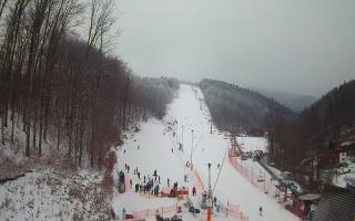 Hotel Stok - 01-02-2026 12:29