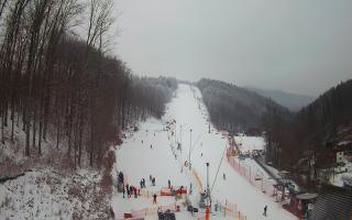 Hotel Stok - 01-02-2026 12:50