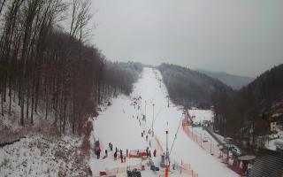 Hotel Stok - 01-02-2026 12:57