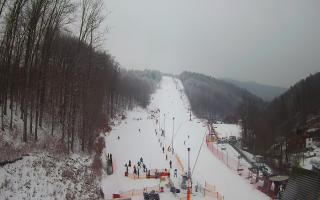 Hotel Stok - 01-02-2026 13:12