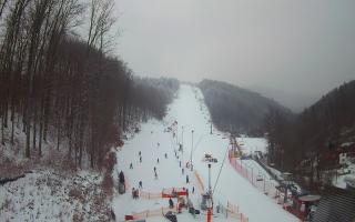 Hotel Stok - 01-02-2026 14:50