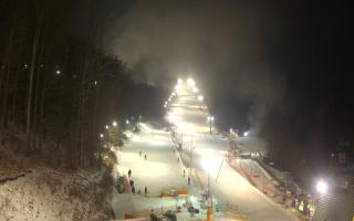 Hotel Stok - 01-02-2026 16:57