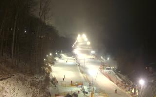 Hotel Stok - 01-02-2026 17:32