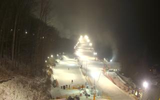 Hotel Stok - 01-02-2026 17:39