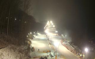 Hotel Stok - 01-02-2026 17:53