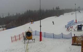 Nowa Osada stok - 29-01-2026 07:55