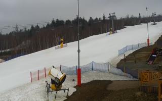 Nowa Osada stok - 16-03-2026 07:46