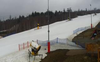 Nowa Osada stok - 16-03-2026 08:04