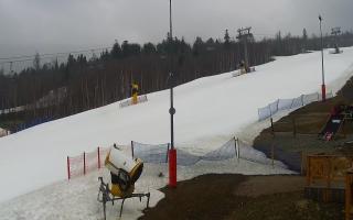 Nowa Osada stok - 17-03-2026 07:41