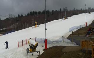 Nowa Osada stok - 17-03-2026 09:15