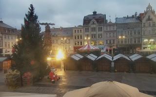 Bydgoszcz - 21-11-2024 06:14