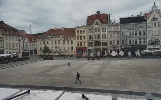 Bydgoszcz - 17-06-2025 03:12