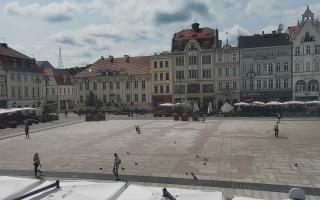 Bydgoszcz - 17-06-2025 09:08