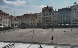 Bydgoszcz - 17-06-2025 12:22