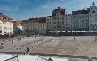 Bydgoszcz - 17-06-2025 15:27