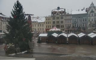 Bydgoszcz - 29-11-2025 09:02