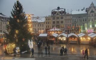 Bydgoszcz - 29-11-2025 14:26