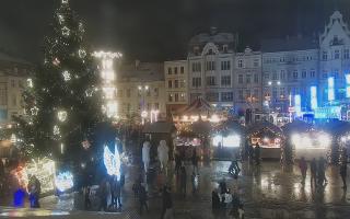 Bydgoszcz - 29-11-2025 15:28