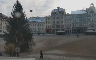 Bydgoszcz - 13-01-2026 13:22