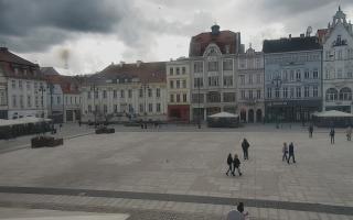 Bydgoszcz - 17-03-2026 10:08