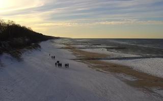 Trzęsacz zachód - 01-02-2026 13:36