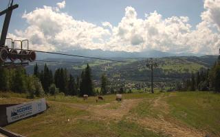 Koziniec- Ski widok z górna stac - 02-08-2025 12:23