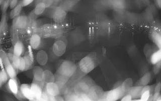 Jezioro Niegocin - 02-05-2025 19:22