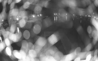 Jezioro Niegocin - 02-05-2025 19:32