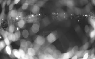 Jezioro Niegocin - 02-05-2025 19:53