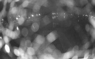 Jezioro Niegocin - 02-05-2025 20:13