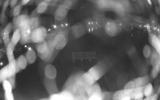 Jezioro Niegocin - 02-05-2025 22:08