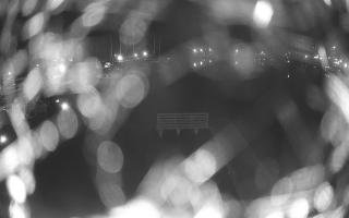 Jezioro Niegocin - 02-05-2025 23:10