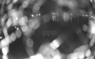Jezioro Niegocin - 03-05-2025 01:04