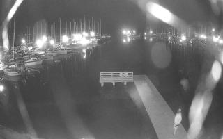 Jezioro Niegocin - 02-08-2025 20:25