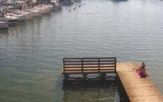 Jezioro Niegocin - 03-08-2025 08:31