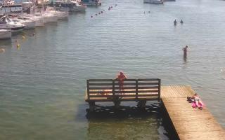 Jezioro Niegocin - 03-08-2025 09:13