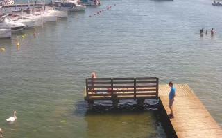 Jezioro Niegocin - 03-08-2025 10:05