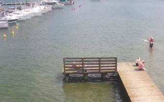 Jezioro Niegocin - 03-08-2025 11:07