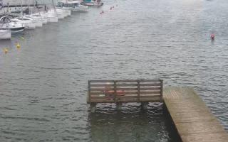 Jezioro Niegocin - 03-08-2025 11:28